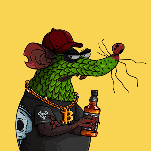 Rat